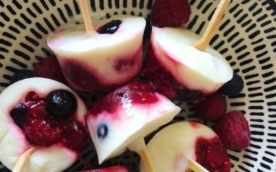 Mini yaourts glacés aux fruits rouges